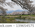 A thousand cherry trees in a single view, in collaboration with the snow-capped Zao mountain range. 139654575