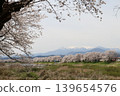 A thousand cherry trees in a single view, in collaboration with the snow-capped Zao mountain range. 139654576