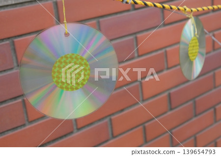 Bird repellent installed on the wall Bird repellent installed on the wall 139654793