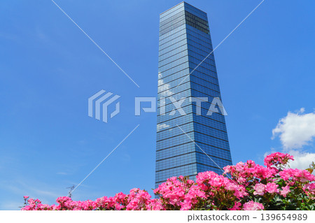 [Chiba City, Chiba Prefecture] Chiba Port Park and Chiba Port Tower in early summer 139654989