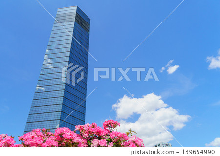 [Chiba City, Chiba Prefecture] Chiba Port Park and Chiba Port Tower in early summer 139654990