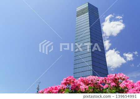 【千葉市,千葉縣】初夏的千葉港公園和千葉港塔 【千葉市,千葉縣】初夏的千葉港公園和千葉港塔 139654991