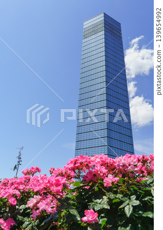 【千葉市,千葉縣】初夏的千葉港公園和千葉港塔 【千葉市,千葉縣】初夏的千葉港公園和千葉港塔 139654992