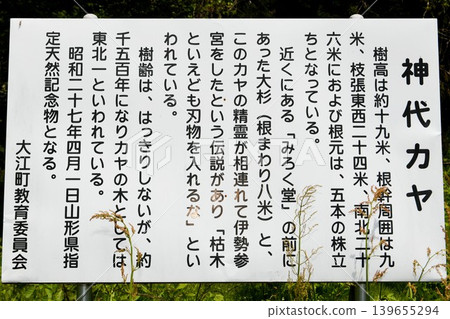 【山形縣大江町指定文化財產及天然紀念物:樹齡約1500年的「神代木亞」資訊牌】 【山形縣大江町指定文化財產及天然紀念物:樹齡約1500年的「神代木亞」資訊牌】 139655294