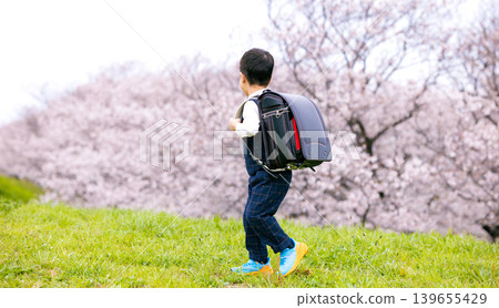 在櫻花盛開的公園散步的新一年級學生 139655429