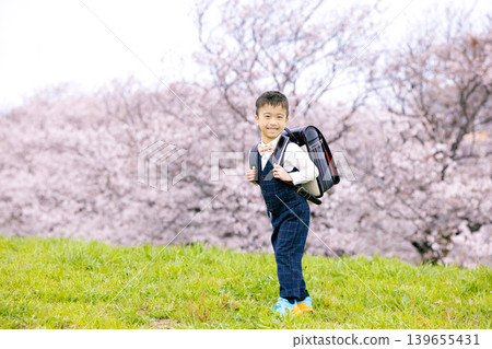 New first grader walking in the park where cherry blossoms bloom New first grader walking in the park where cherry blossoms bloom 139655431