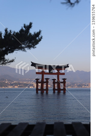 廣島縣宮島市：嚴島神社的大鳥居在火光燃燒前沐浴在晨曦中；五重塔和千丈閣正在修繕中。 139655764