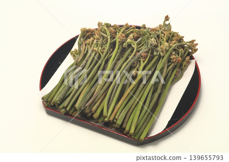Bracken 139655793