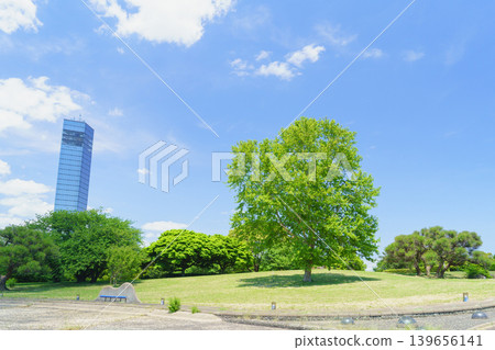 [Chiba City, Chiba Prefecture] Chiba Port Tower as seen from Chiba Port Park Water Plaza in early summer. 139656141