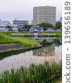 Landscape at the waterside 139656189
