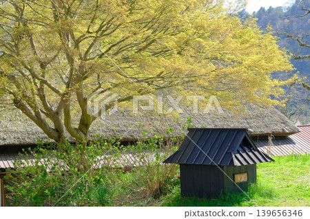 Spring scenery of Miyama thatched-roof village 139656346
