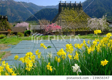 美山茅屋村的春日景色 美山茅屋村的春日景色 139656347