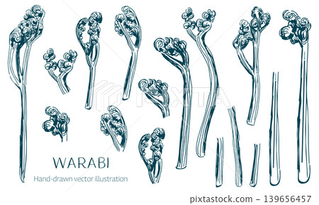 Bracken fern line drawing sketch set (monochrome) Bracken fern line drawing sketch set (monochrome) 139656457