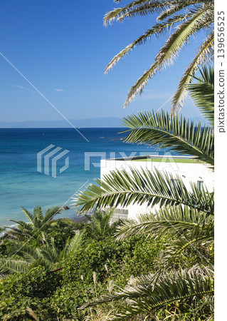 Yokosuka Akiya: Beautiful greenery and the blue of the sea 139656525