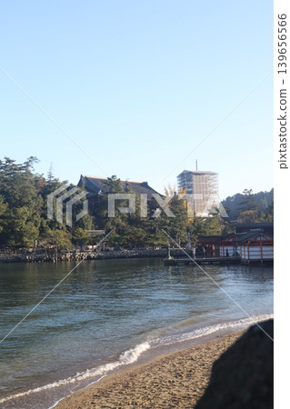 從廣島縣初日市宮島町嚴島神社可以看到正在修繕的千丈閣和五重塔的全景。 從廣島縣初日市宮島町嚴島神社可以看到正在修繕的千丈閣和五重塔的全景。 139656566