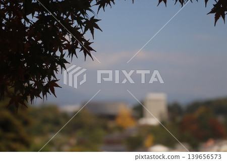 從廣島縣初日市宮島町嚴島神社可以看到正在修繕的千丈閣和五重塔的全景。 139656573