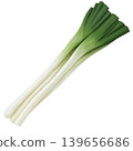 A realistic hand-drawn illustration of a leek. 139656686