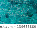 The aquatic environment features sparkling turquoise waters filled with diverse fish, inviting exploration in a peaceful setting. 139656880