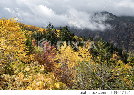 Autumn leaves of Tokachidake Autumn leaves of Tokachidake 139657195