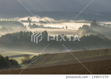 Morning mist ground 139657270