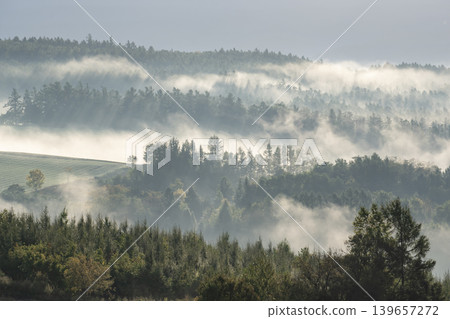Morning mist ground Morning mist ground 139657272