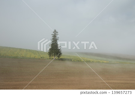 Morning mist ground Morning mist ground 139657273