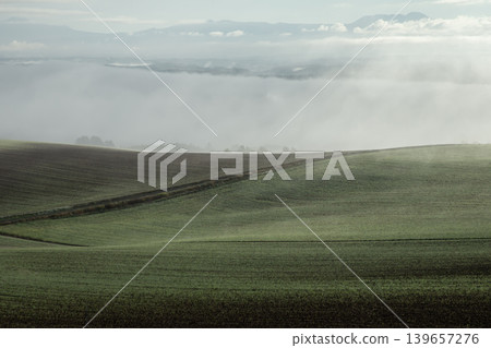 Morning mist ground Morning mist ground 139657276