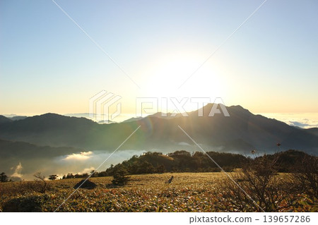 從愛媛縣石槌山脈的龜森山上看到的景象:落日餘暉照亮了雲海,映襯著石槌山的輪廓。 從愛媛縣石槌山脈的龜森山上看到的景象:落日餘暉照亮了雲海,映襯著石槌山的輪廓。 139657286