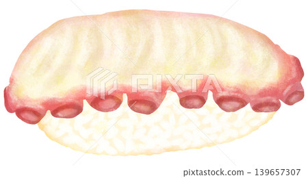 Illustration of octopus sushi Illustration of octopus sushi 139657307