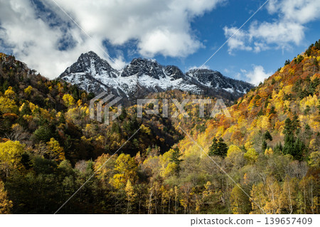 First snow and autumn leaves 139657409