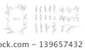 A vector illustration set of hand-drawn eucalyptus and botanical line art frames and parts. 139657432