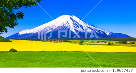 A composite image of a beautiful European rapeseed field and Mount Fuji. A composite image of a beautiful European rapeseed field and Mount Fuji. 139657437