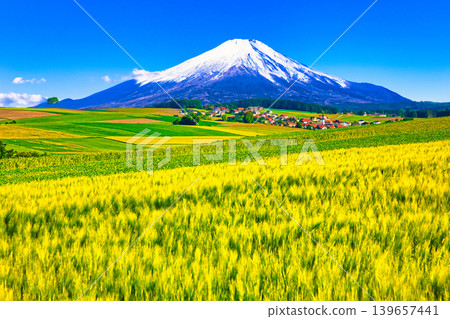 A composite image of beautiful European countryside and Mount Fuji. A composite image of beautiful European countryside and Mount Fuji. 139657441
