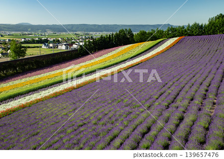 Farm Tomita's summer Farm Tomita's summer 139657476