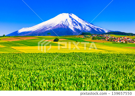 A composite image of beautiful European countryside and Mount Fuji. A composite image of beautiful European countryside and Mount Fuji. 139657550