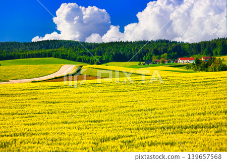 Beautiful rural scenery and clouds on the outskirts of Linz. Beautiful rural scenery and clouds on the outskirts of Linz. 139657568