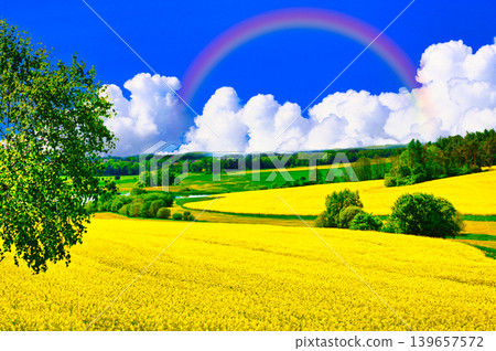 Beautiful rapeseed field and clouds in Bohemia Beautiful rapeseed field and clouds in Bohemia 139657572