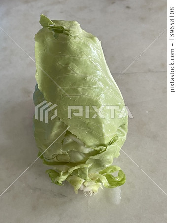 Single Fresh Green Pointed Cabbage Brassica Oleracea Var Capitata Single Fresh Green Pointed Cabbage Brassica Oleracea Var Capitata 139658108