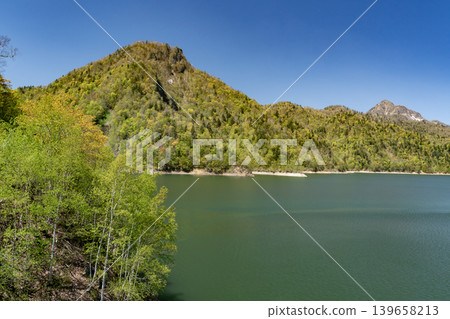 Fresh green of Sapporo Lake Fresh green of Sapporo Lake 139658213