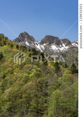 天狗岳在清新的綠意中 天狗岳在清新的綠意中 139658303