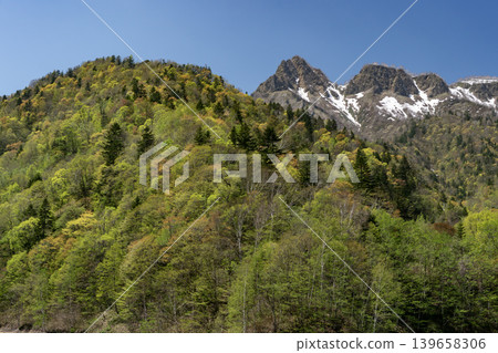 天狗岳在清新的綠意中 天狗岳在清新的綠意中 139658306