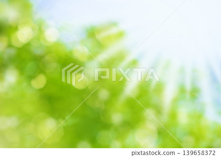 New green leaves leakage day New green leaves leakage day 139658372