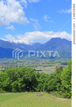 五月的阿祖米諾:俯瞰北阿爾卑斯山的葡萄園 五月的阿祖米諾:俯瞰北阿爾卑斯山的葡萄園 139658466