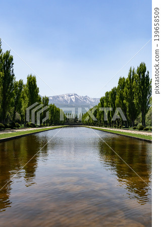 前田森林公園的春天 前田森林公園的春天 139658509