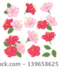 Aesthetic Hibiscus Flower Arrangement Clipart 139658625