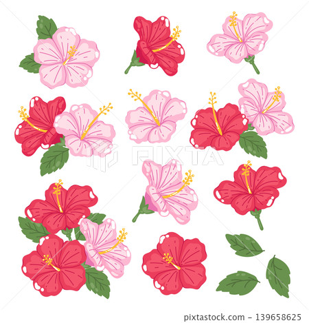 Aesthetic Hibiscus Flower Arrangement Clipart Aesthetic Hibiscus Flower Arrangement Clipart 139658625