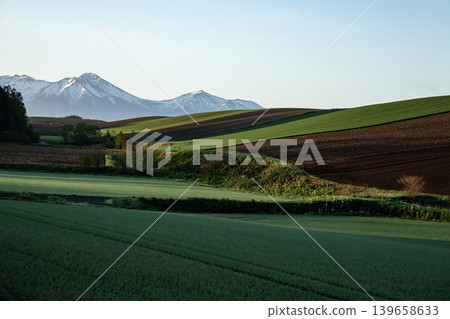 Early spring land 139658633