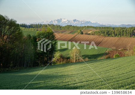 Early spring land 139658634