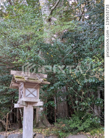 Lantern in the forest Lantern in the forest 139658738