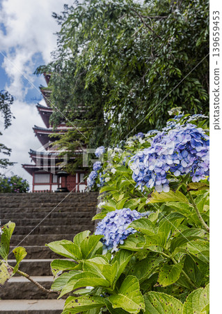 A cluster of tiny flowers, shrouded in purple, blue, and red mist, perfectly suited to the rain, will blossom into a magnificent flower. 139659453